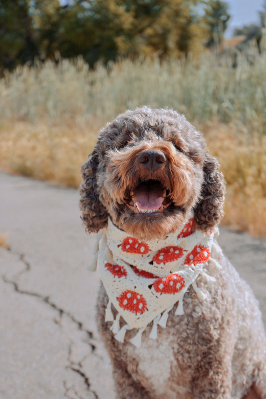 Mushroom dog bandana