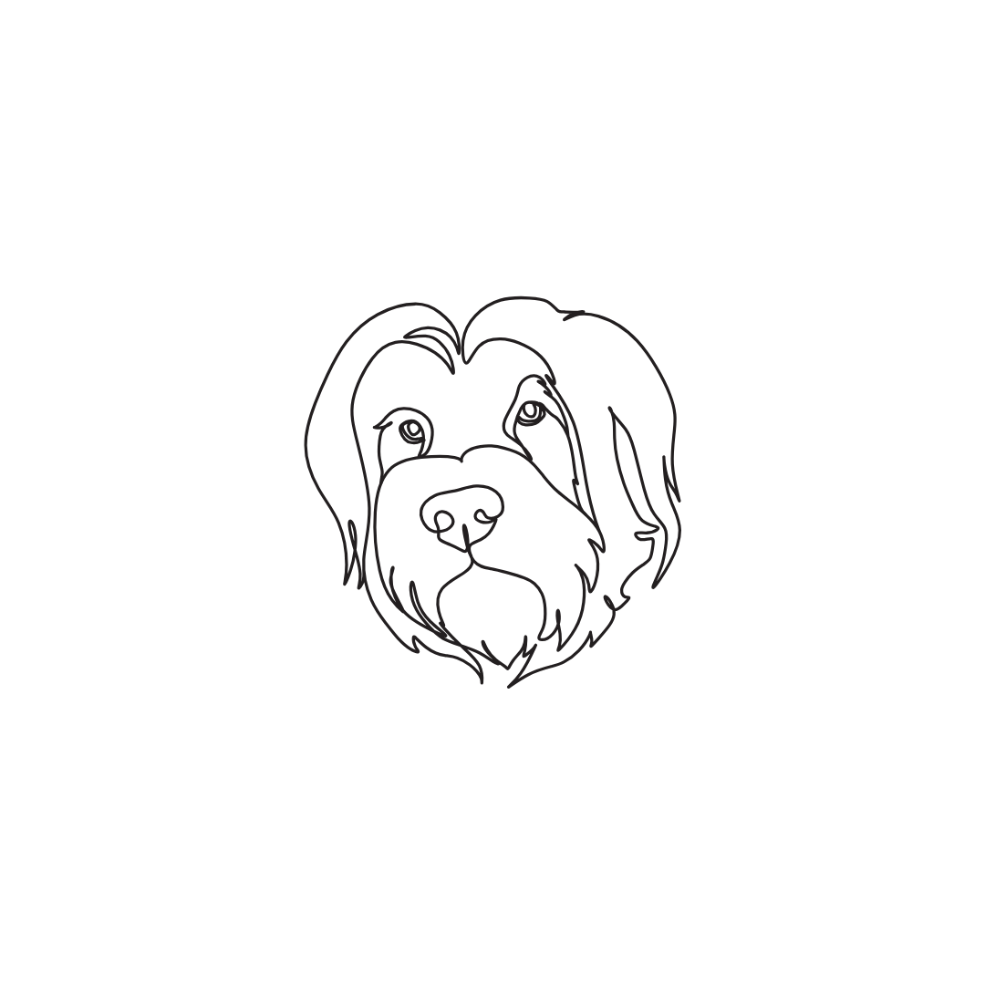 Engraved pet necklace