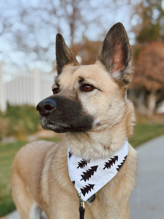 Pine tree tie on dog bandana