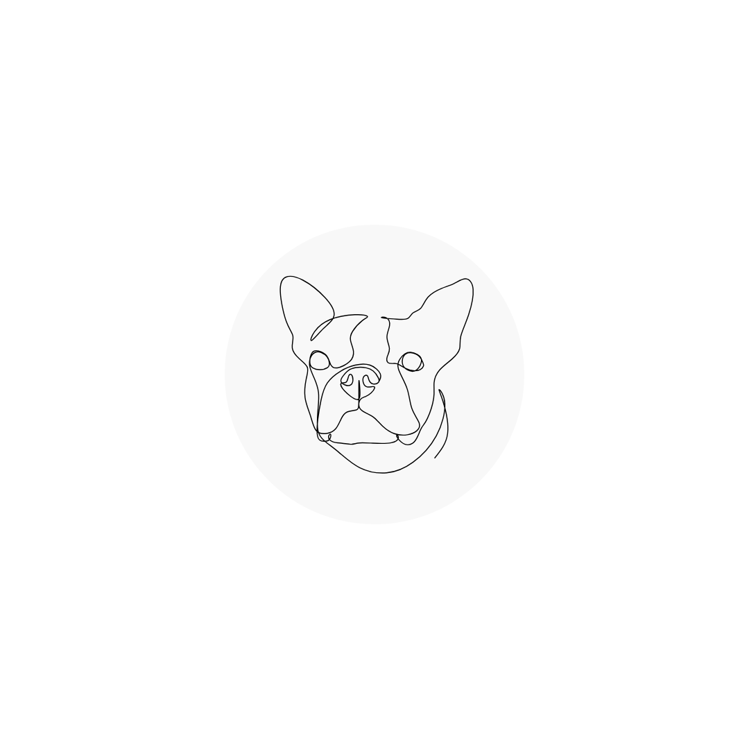 Engraved pet necklace